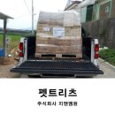 주식회사 펫트로 이미지