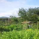 행운농장 이미지