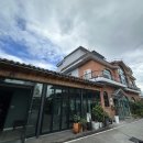 광양불고기 금목서 이미지