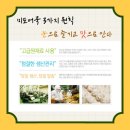 미도식품 이미지