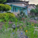 다솔민박 이미지