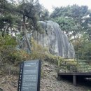 온가을054 | [사찰여행] 경북 경주 배반동 조용한 가을 단풍과 함께한 '옥룡암' (feat. 단풍, 주차장, 탑곡 마애불상군)