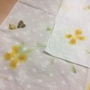 새소망어린이집 이미지