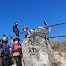 장산억새밭 이미지