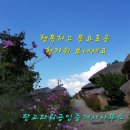 드림타워공인중개사사무소 이미지