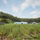 능원3리 이미지