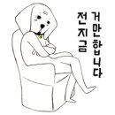 산만한 스튜디오