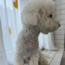 두유 개린이집 이미지