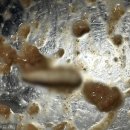 삼성산업안전(주) 이미지