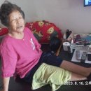 정봉덕
