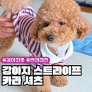 옷미인 | 반려미인 강아지스트라이프 카라 셔츠 강아지귀여운옷