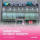 용문일등약국 이미지