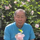 심경구교수 향기무궁화대현2025(향기스타) 그리고 배경사진 야음2028 (향기우아미) 이미지
