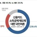 신용전제 이미지