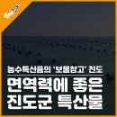 진도바다 특산품