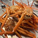 도안대로(유성-89) 이미지