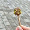 쿠키스하우스2호점(COOKIES HOUSE) | 강릉 • 금학동 중앙시장근처 “쿠키스하우스” 2호점 선물하기 좋은 유기농수제쿠키