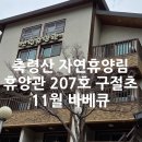 축령산자연휴양림 | 축령산 자연휴양림 1박2일 후기｜경기도 가성비 가족숙소 추천 (휴양관 207호 구절초방)