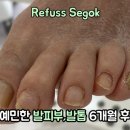 레푸스강남세곡점 이미지
