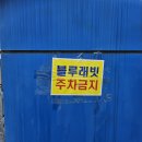 주시회사 삼천물류 | 2025 블루래빗 동탄 패밀리세일 오픈런 안한 후기 (꿀팁, 주차, 가격)