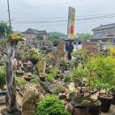 촌사람민박 이미지