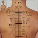 유주메디칼 Daum카페