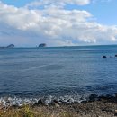 서귀포여자고등학교 이미지