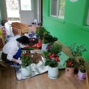 신광초등학교 병설유치원 이미지