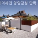 스테이해연양양감성단독독채펜션 네이버블로그
