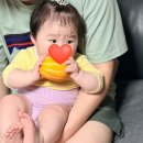 꿀벌과일 | 숲속상점 성주참외ㅣ꿀참외 여름고당도과일 추천 후기