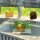 어반플랜트 수영 | 부산 감성 카페 어반플랜트 수영점 아기랑 브런치 맛집