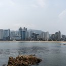 홍유단(광안점) 이미지