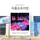 일지) 제주 중문 신상 핫플 ✨ 자롤로뮤지엄 솔직 후기 | 안경 없이 즐기는 3D 미디어아트의 신세계...