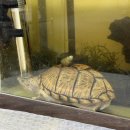 김밥마는아저씨 | 1월(12-18) 믿겨지지가 않고 믿고싶지도 않아서