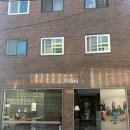 ROY 안경 | 카린(CARIN) 뉴진스 해린 호피 안경 :: ROY-O 로이O 후기 (feat. 카린 한남점, 젠틀몬스터 마르지엘라...