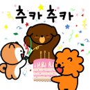 피앤피짐 이미지