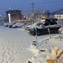 카페 문라이트(cafe moonlight) 이미지