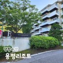 GS25 증평송산행복점 | 용평리조트 썸머 올킬 한정 패키지 빌라콘도 41타입 강원도 여행 숙소