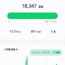 프레시샐 이미지