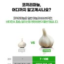 케이앤메디칼 이미지