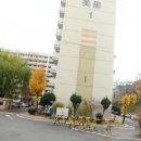 신성21공인중개사사무소 이미지