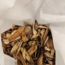 화목한휴일한의원 이미지