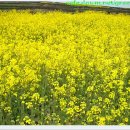 팔도농장 이미지