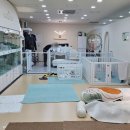 두유네 애견미용실 | 문정역애견미용 두유펫 애견미용 찐 송파반려견미용실 찾은 후기