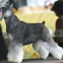 다목농장 이미지