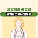 홍은기치과의원 | 경기도 고양시 화정동 교정치과 총정리