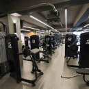 와일드짐 이미지