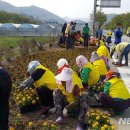 장성근린공원 이미지