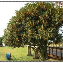 홍예민박 | 태연이네 여름휴가지 찜 - 전남 보성 은빛바다팬션