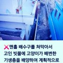 🐶개"의 배변 방치 행위와 주택가 오폐수 무단투기 근절 #️⃣맨홀 배수구를 고의적 으로 막는 행위는 처벌 됩니다. 이미지